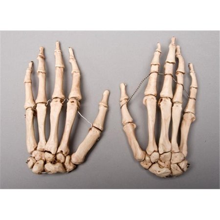 SKELETONS AND MORE Skeletons and More SM376DA Aged Skeleton Hands  Left and Right SM376DA